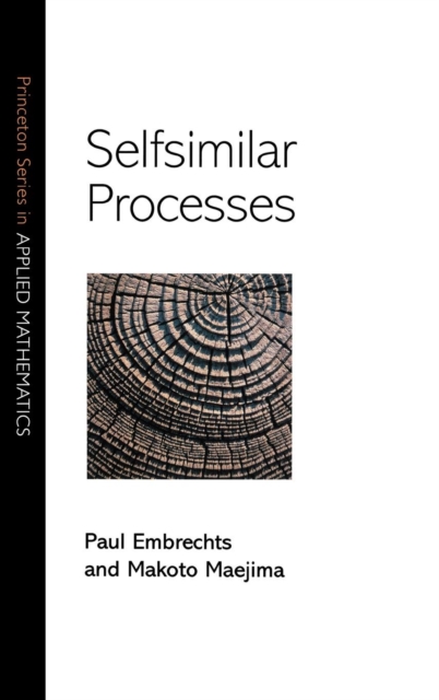 Selfsimilar Processes, Hardback Book