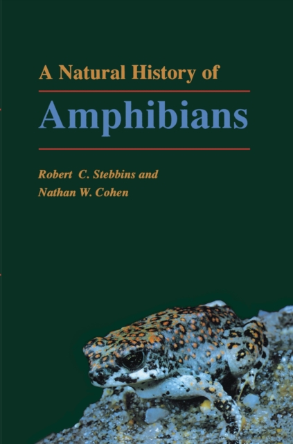 A Natural History of Amphibians, Paperback / softback Book