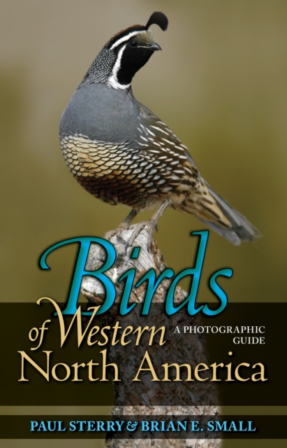 Birds of Western North America : A Photographic Guide, Paperback / softback Book