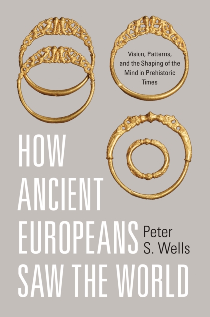 How Ancient Europeans Saw the World : Vision, Patterns, and the Shaping of the Mind in Prehistoric Times, Hardback Book
