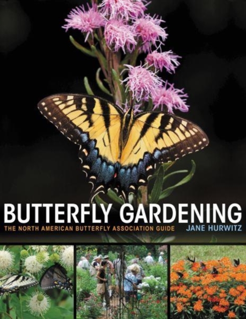 Butterfly Gardening : The North American Butterfly Association Guide, Paperback / softback Book