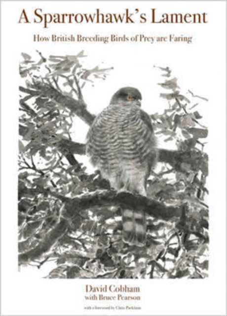 A Sparrowhawk's Lament : How British Breeding Birds of Prey Are Faring, Paperback / softback Book