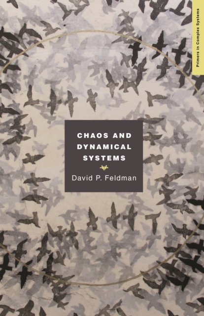 Chaos and Dynamical Systems, PDF eBook