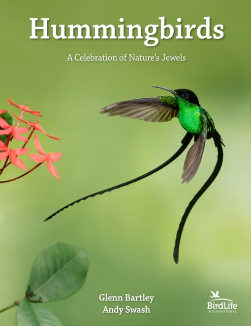 Hummingbirds : A Celebration of Nature's Jewels, PDF eBook