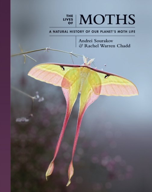The Lives of Moths : A Natural History of Our Planet's Moth Life, Hardback Book