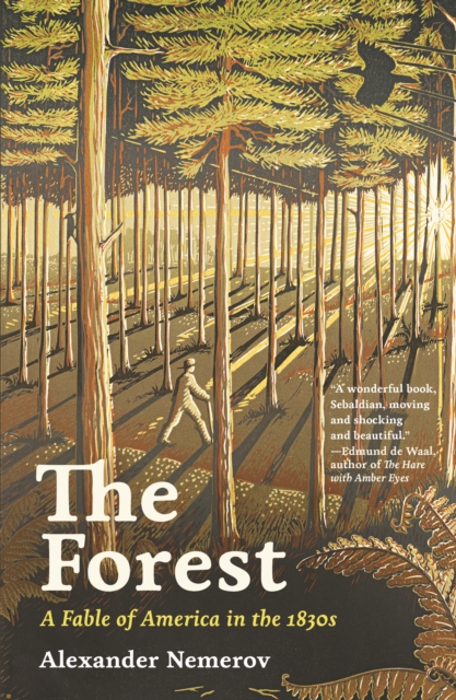 The Forest : A Fable of America in the 1830s, Hardback Book
