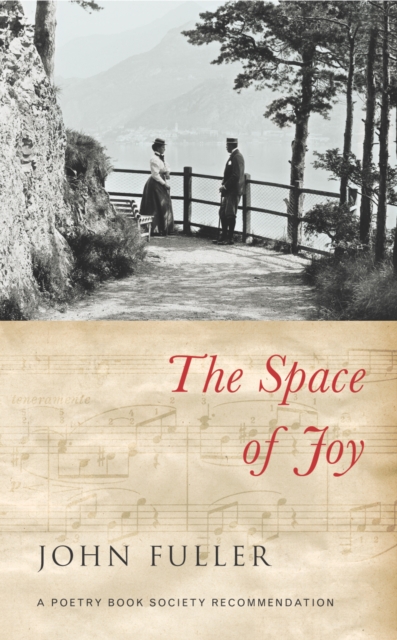 The Space of Joy, Paperback / softback Book
