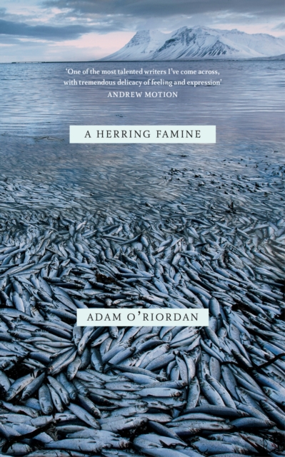A Herring Famine, Paperback / softback Book