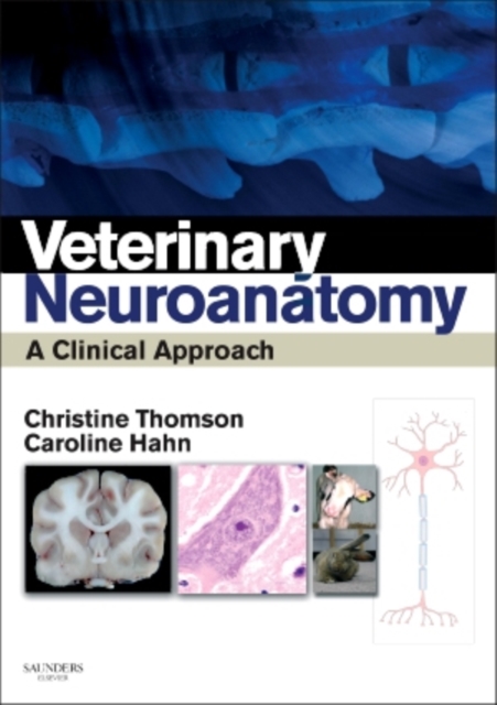 Veterinary Neuroanatomy : A Clinical Approach, Paperback / softback Book