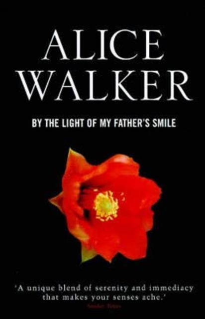 By the Light of My Father's Smile, Paperback / softback Book