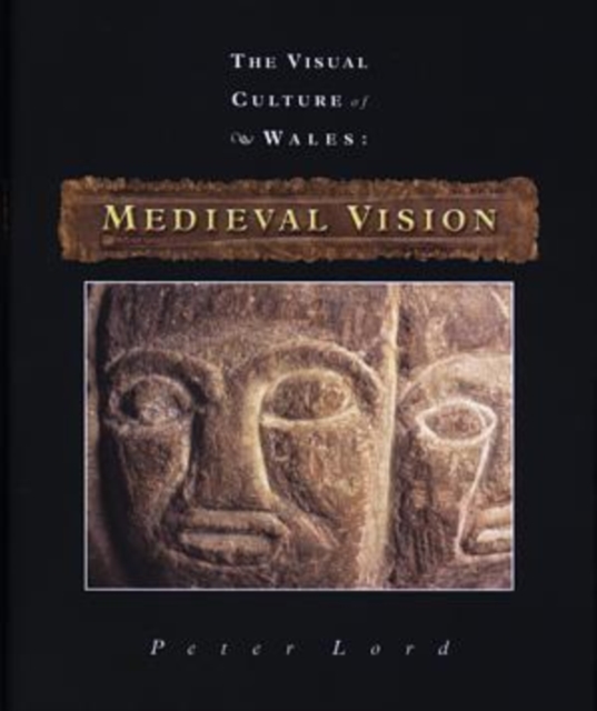 Medieval Vision : The Visual Culture of Wales, Hardback Book
