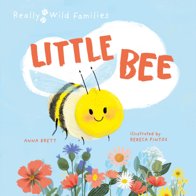 Little Bee : A Day in the Life of the Bee Brood, Hardback Book