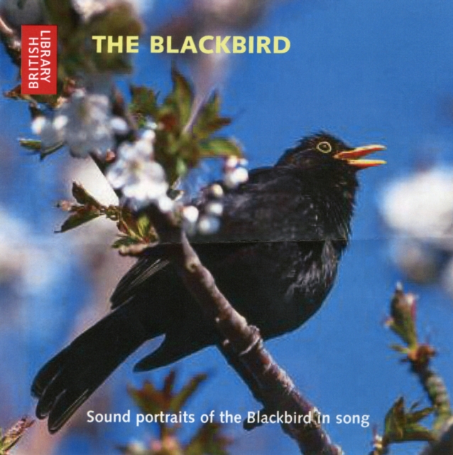 The Blackbird : Sound portraits of the Blackbird in song, CD-Audio Book