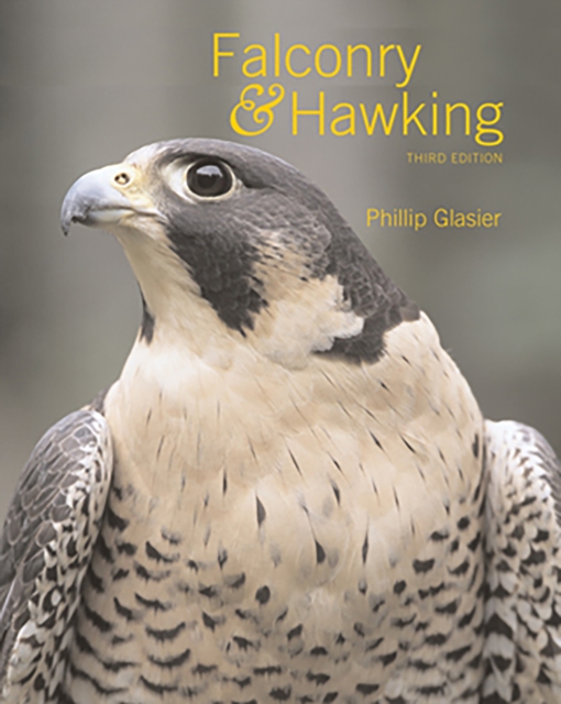 Falconry and Hawking, Hardback Book