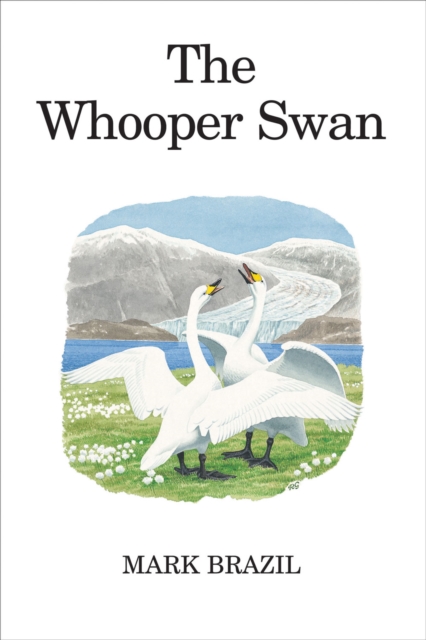 The Whooper Swan, Hardback Book