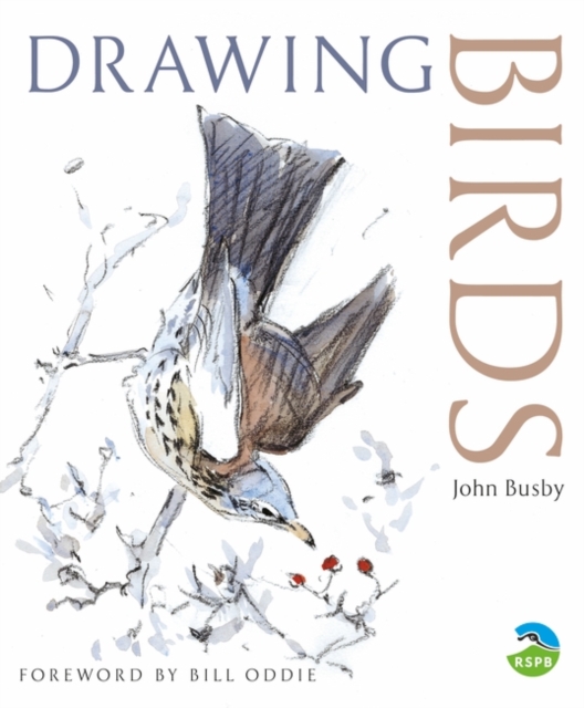 Drawing Birds, Paperback / softback Book