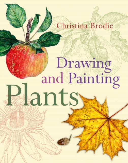Drawing and Painting Plants, Paperback / softback Book