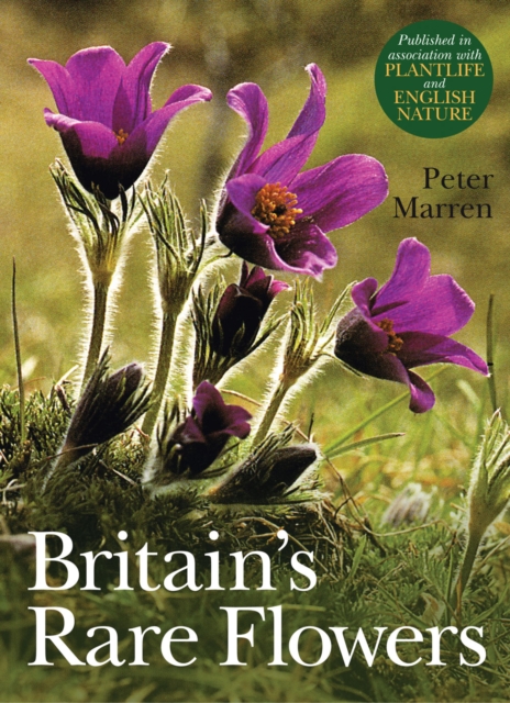 Britain's Rare Flowers, Paperback / softback Book
