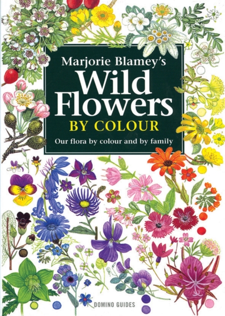 Wild Flowers by Colour : The Easy Way to Flower Identification, Paperback Book
