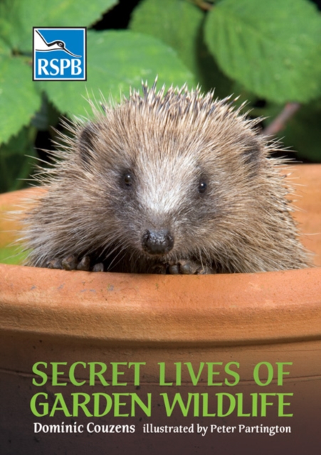 Secret Lives of Garden Wildlife, Paperback / softback Book