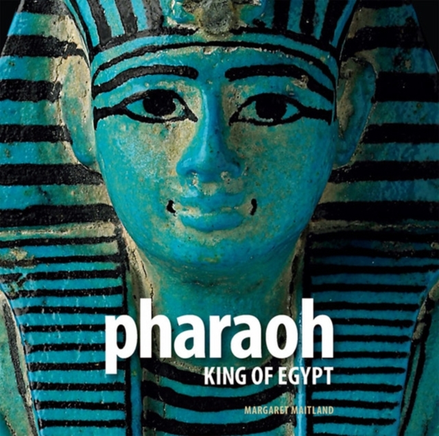 Pharaoh : King of Egypt, Paperback / softback Book