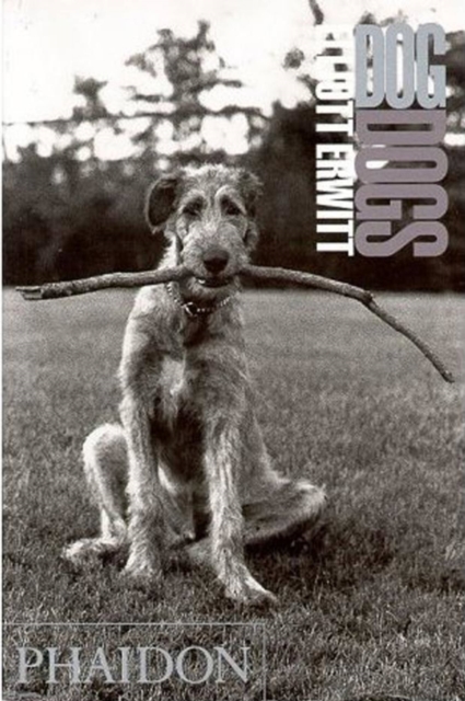 DogDogs, Paperback / softback Book
