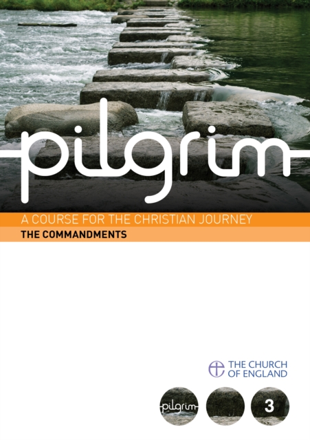 Pilgrim : Book 3 (Follow Stage), Paperback / softback Book