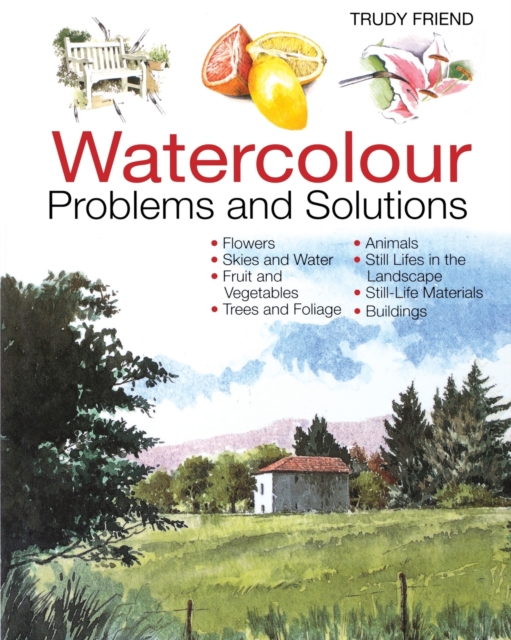 Watercolour Problems and Solutions : A Trouble-Shooting Handbook, Paperback / softback Book