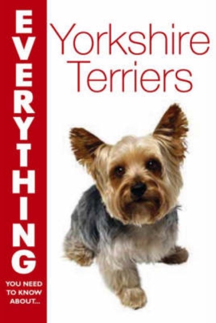 Yorkshire Terriers, Paperback / softback Book