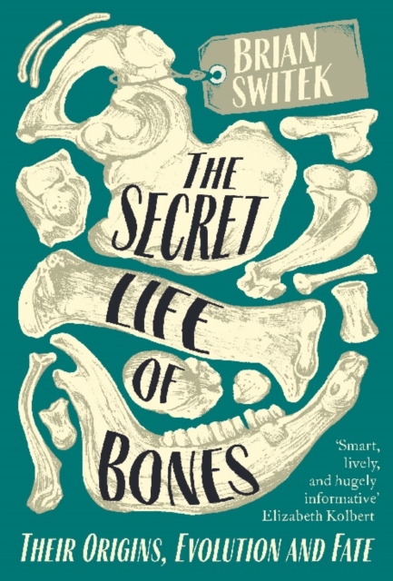 The Secret Life of Bones : Their Origins, Evolution and Fate, Paperback / softback Book