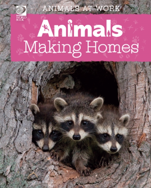 Animals Making Homes, PDF eBook