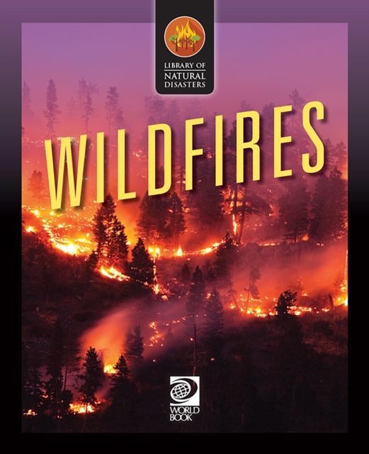 Wildfires, PDF eBook