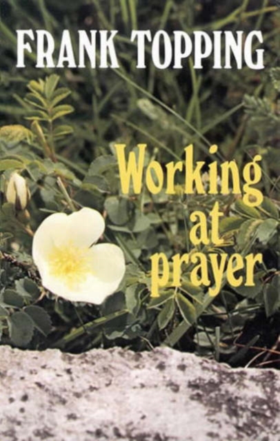 Working at Prayer, Paperback / softback Book