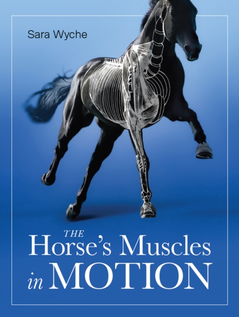 Horse's Muscles in Motion, Paperback / softback Book