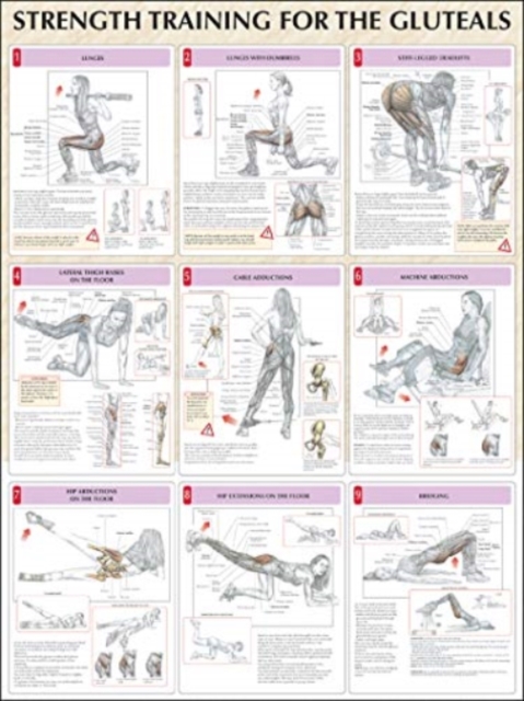 Strength Training for the Buttocks, Poster Book