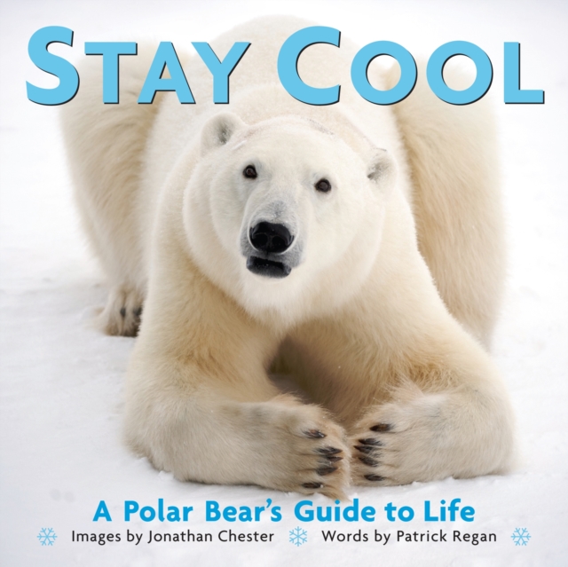 Stay Cool : A Polar Bear's Guide to Life, Hardback Book