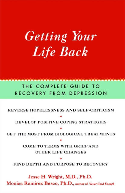Getting Your Life Back : The Complete Guide to Recovery from Depression, Paperback / softback Book