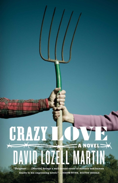Crazy Love : A Novel, EPUB eBook