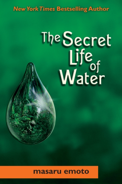 Secret Life of Water, Other book format Book
