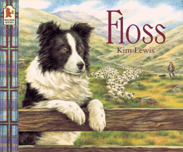 Floss, Paperback / softback Book