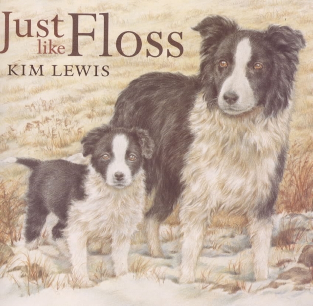 Just Like Floss, Paperback / softback Book