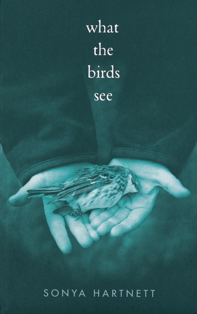 What the Birds See, Paperback / softback Book