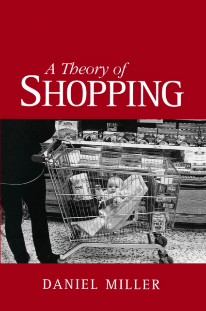 A Theory of Shopping, Hardback Book