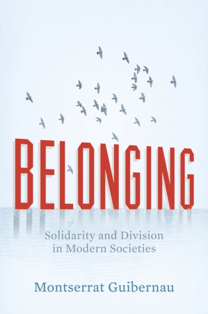 Belonging : Solidarity and Division in Modern Societies, Hardback Book