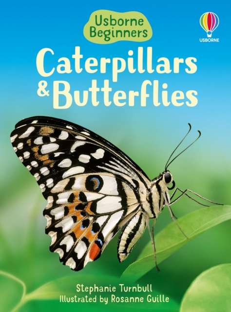 Caterpillars and Butterflies, Hardback Book