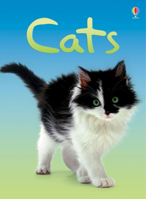 Cats, Hardback Book