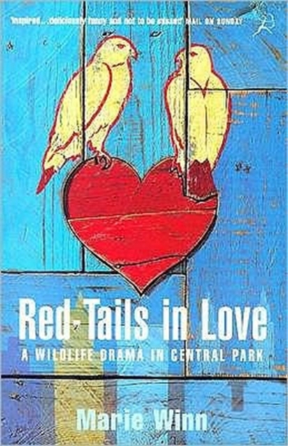 Red-tails in Love : A Wildlife Drama in Central Park, Paperback / softback Book