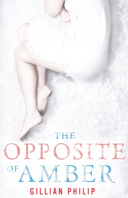 The Opposite of Amber, Paperback / softback Book