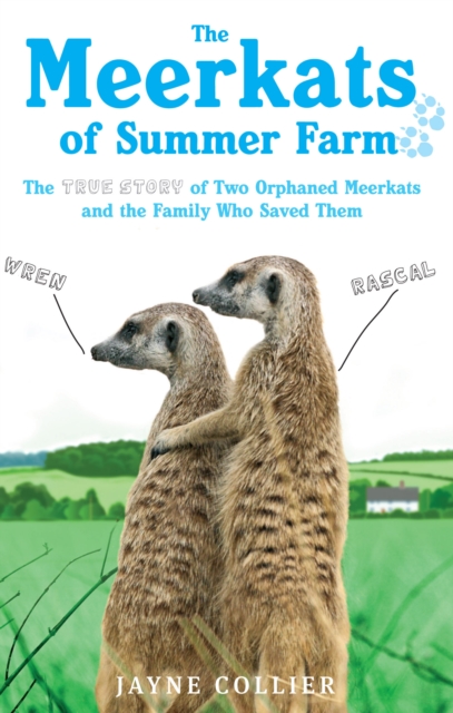 The Meerkats Of Summer Farm : The True Story of Two Orphaned Meerkats and the Family Who Saved Them, EPUB eBook