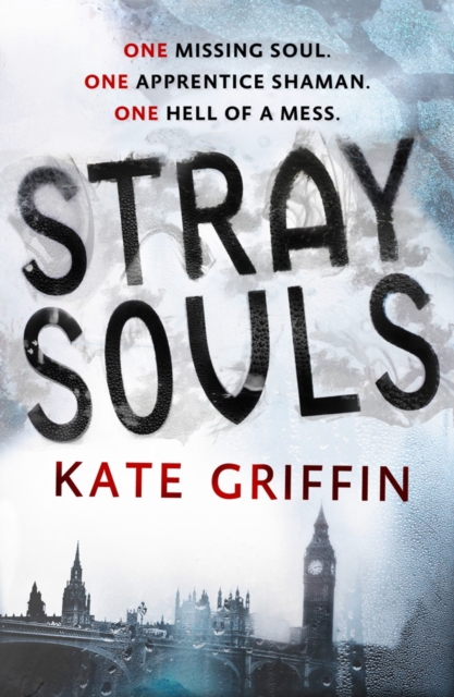 Stray Souls, EPUB eBook